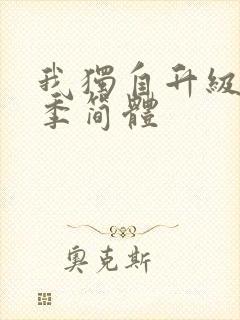 我独自升级第一季简体封面