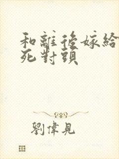 和离后嫁给前夫死对头封面