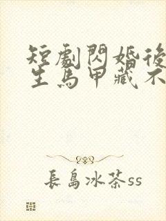 短剧闪婚后傅先生马甲藏不住了免费看