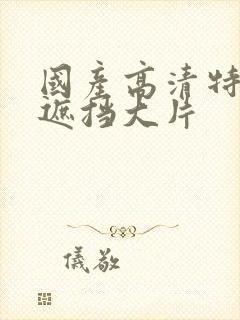 国产高清特黄无遮挡大片