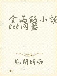 金丙的小说合集txt网盘