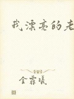 我漂亮的老板娘