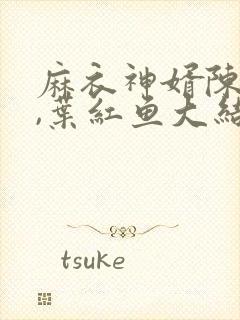 麻衣神婿陈黄皮,叶红鱼大结局封面