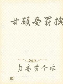甘愿受罚挨打封面