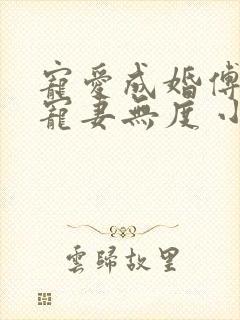 宠爱成婚傅先生宠妻无度 小说