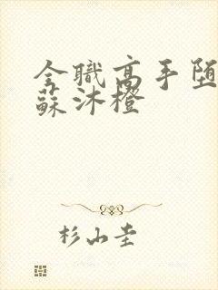 全职高手堕落的苏沐橙