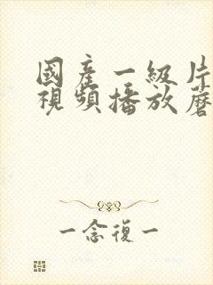 国产一级片内射视频播放蘑菇