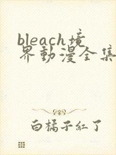 bleach境界动漫全集在线观看免费