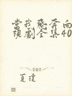 当我飞奔向你电视剧全集40集在线观看