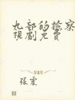 九部的检察官电视剧免费