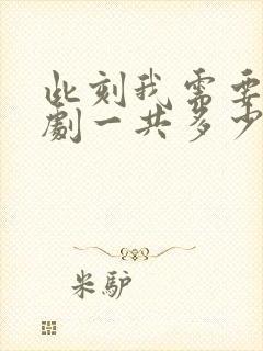 此刻我需要你泰剧一共多少集