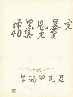 扫黑风暴完整版40集免费