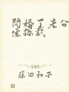 闪婚了老公是千亿总裁封面