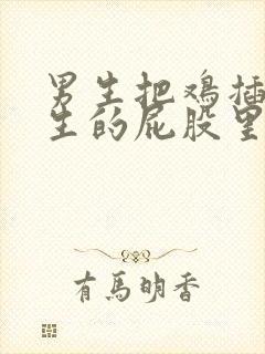 男生把鸡插进女生的屁股里