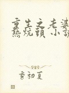 重生之老婆孩子热炕头 小说