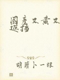 国产又黄又色无遮挡