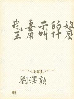 我妻子的姐姐女主角叫什么封面