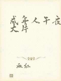 成年人午夜高清大片