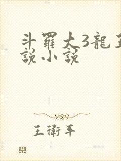 斗罗大3龙王传说小说