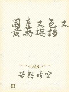 国产又色又爽又黄无遮挡