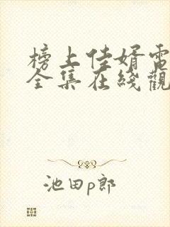 榜上佳婿电视剧全集在线观看免费