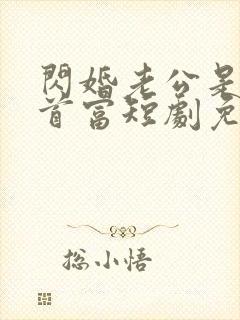 闪婚老公是千亿首富短剧免费观看封面