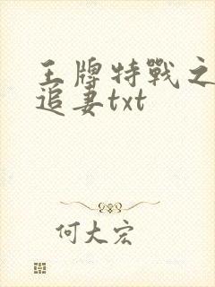 王牌特战之军少追妻txt