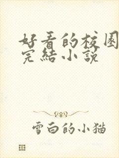 好看的校园言情完结小说封面