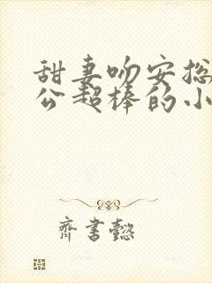 甜妻吻安总裁老公超棒的小说全集