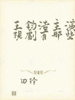 王钧浩主演的电视剧有哪些