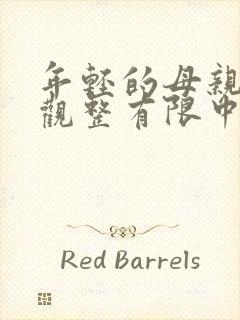 年轻的母亲6在观整有限中字封面