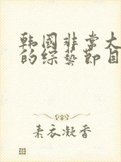 韩国非常大尺度的综艺节目封面