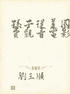 孙子从美国来免费观看电影封面