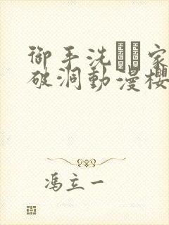 御手洗さん家の破洞动漫樱花动漫在