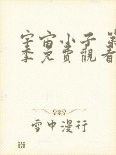 宇宙小子 第2季免费观看完整版