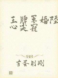 王牌军婚陆少的心尖宠