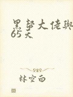 黑帮大佬与我365天