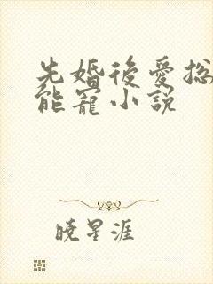 先婚后爱总裁太能宠小说