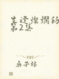 生逢灿烂的日子第2集封面