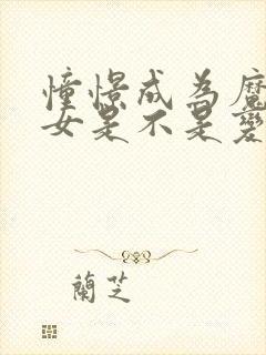 憧憬成为魔法少女是不是变态动漫封面