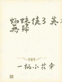 蜘蛛侠3 英雄无归封面