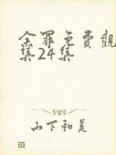 余罪免费观看全集24集