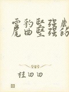 雪豹坚强岁月片尾曲坚强的人