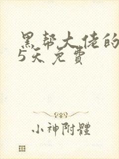 黑帮大佬的365天免费