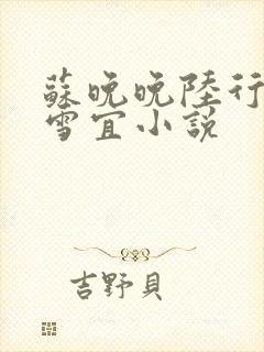 苏晚晚陆行简夏雪宜小说