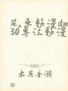 风车动漫dm530专注动漫的门户网站