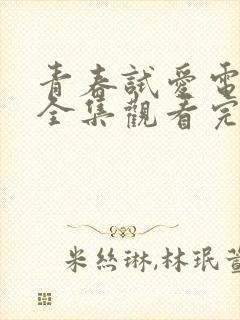 青春试爱电视剧全集观看完整版封面