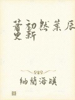 萧初然叶辰最快更新封面