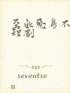 至此飞鸟不相逢短剧