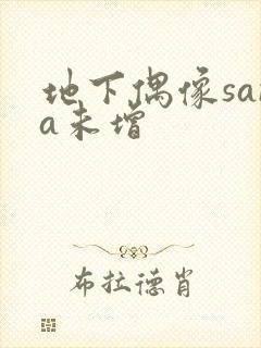 地下偶像sana未增